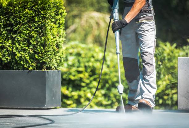 Best Sidewalk and Walkway Cleaning  in Milpitas, CA